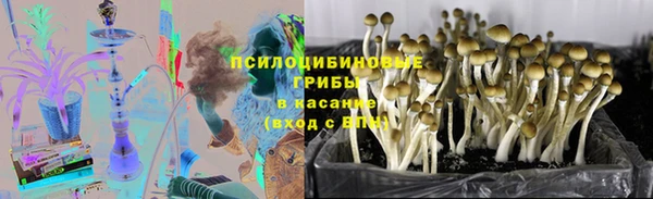 гашик Бронницы