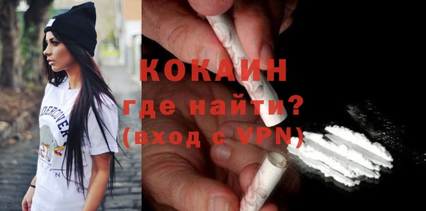 хмурый Бородино