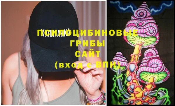 хмурый Бородино