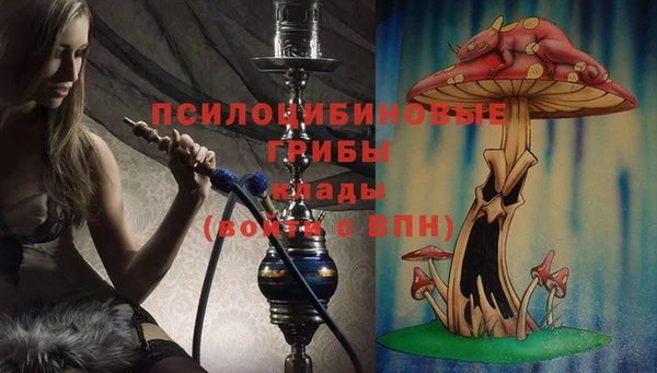 гашик Бронницы