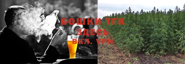 амф Богородицк