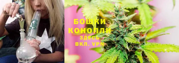 гашик Бронницы
